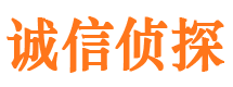 保德市调查公司